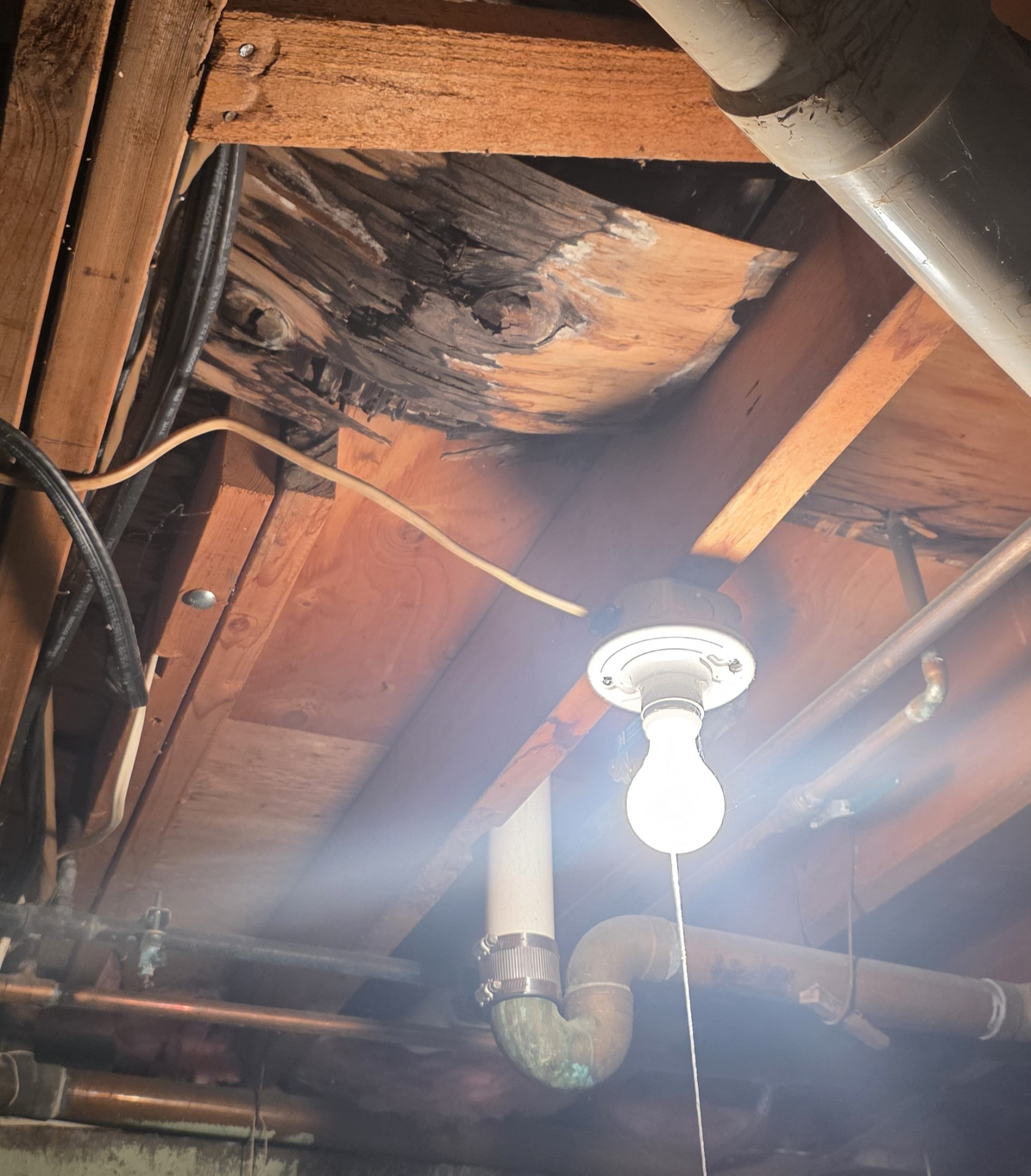 Basement ceiling joists showing rotted, water-damaged wood beneath a bathroom