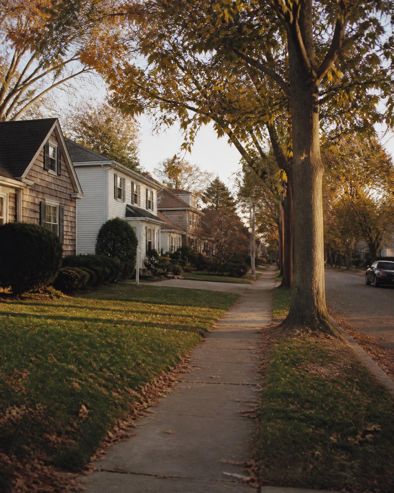 A tree-lined residential street of family homes on Long Island in autumn light